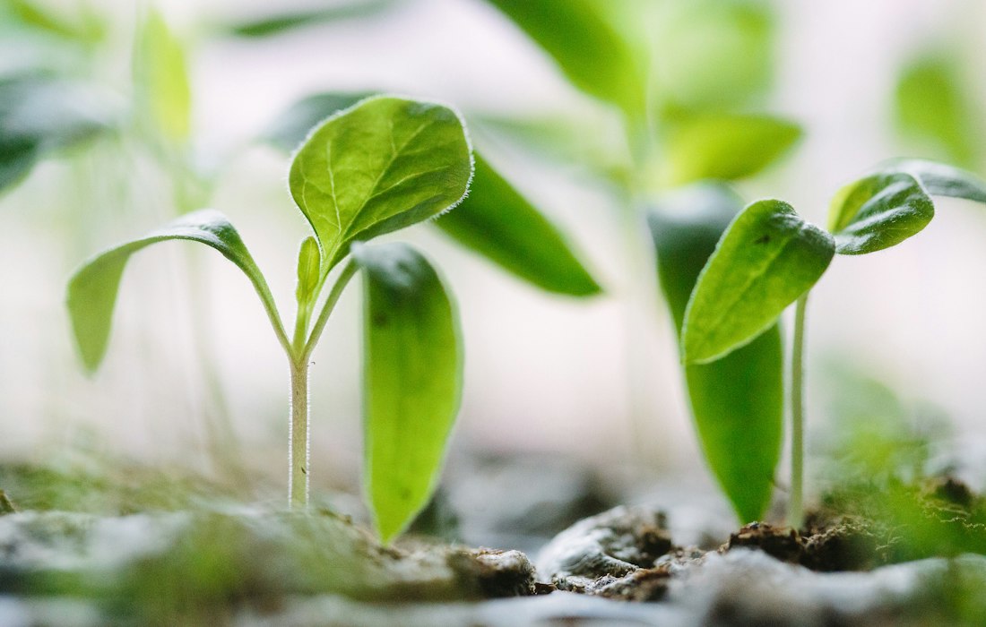 What Preventative Health Really Means, and How Enbodie Helps